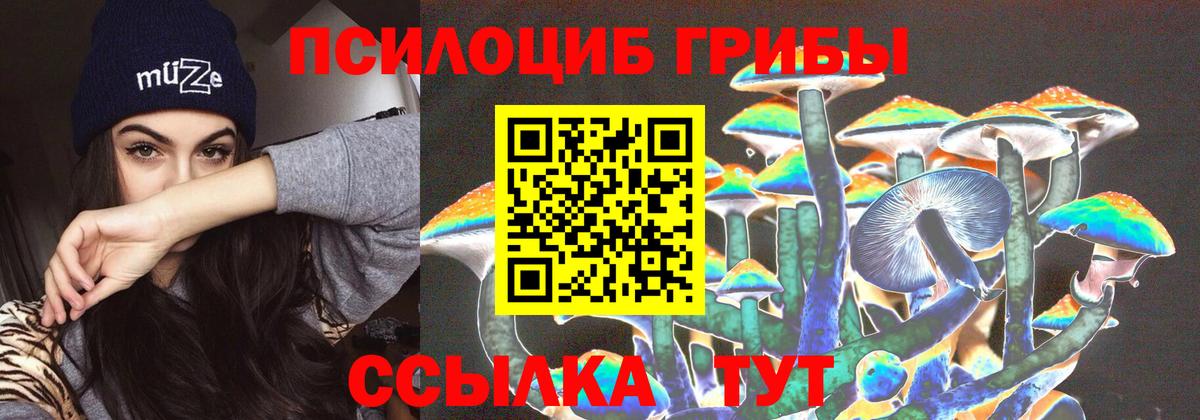 Псилоцибиновые грибы Psilocybine cubensis  Галлюциногенные грибы прущие грибы  Вход с VPN  купить   Москва 