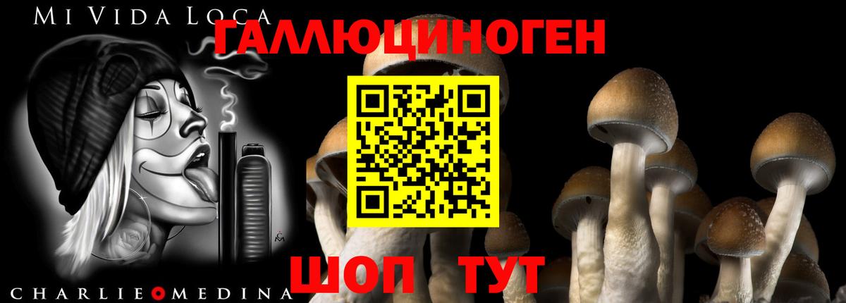 Псилоцибиновые грибы Magic Shrooms Москва